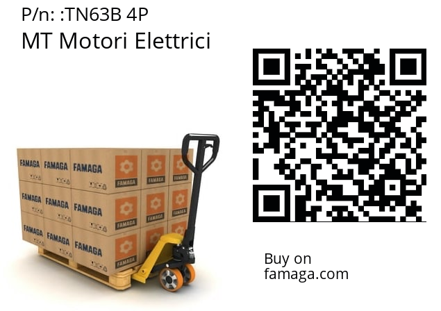   MT Motori Elettrici TN63B 4P