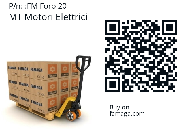   MT Motori Elettrici FM Foro 20