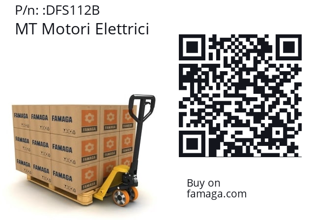   MT Motori Elettrici DFS112B