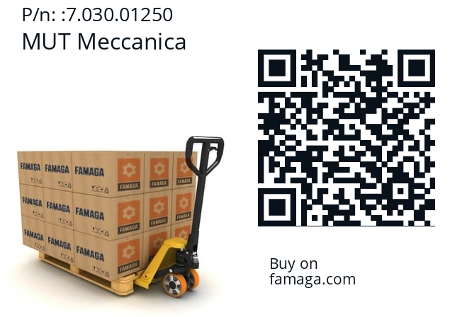   MUT Meccanica 7.030.01250