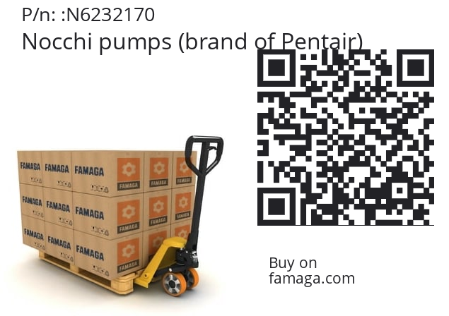   Nocchi pumps (brand of Pentair) N6232170