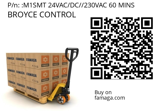   BROYCE CONTROL M1SMT 24VAC/DC//230VAC 60 MINS