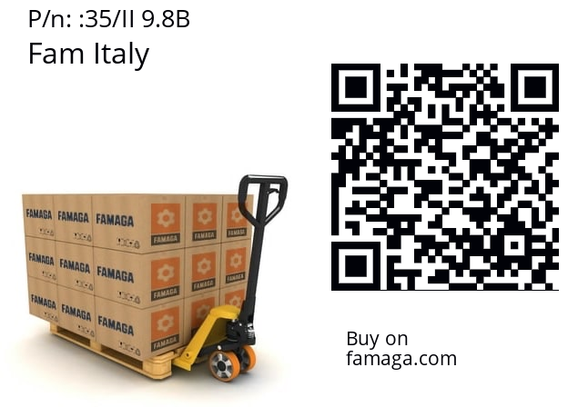  Fam Italy 35/II 9.8B