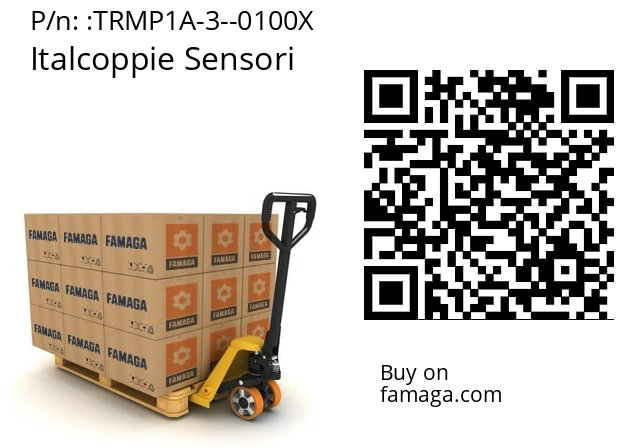 Temperature Sensor  Italcoppie Sensori TRMP1A-3--0100X