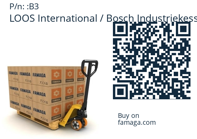   LOOS International / Bosch Industriekessel B3