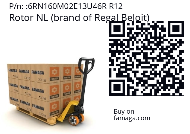   Rotor NL (brand of Regal Beloit) 6RN160M02E13U46R R12