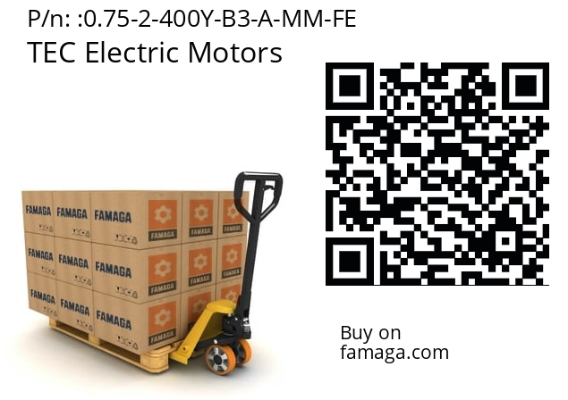   TEC Electric Motors 0.75-2-400Y-B3-A-MM-FE