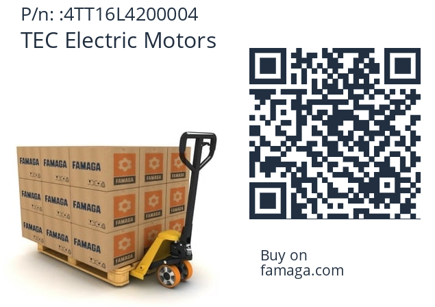   TEC Electric Motors 4TT16L4200004