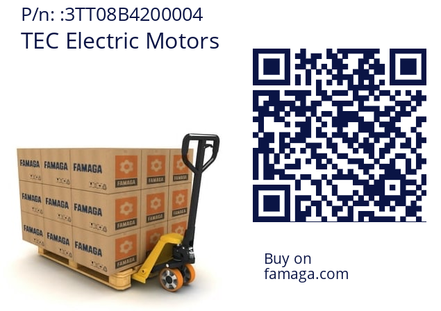   TEC Electric Motors 3TT08B4200004