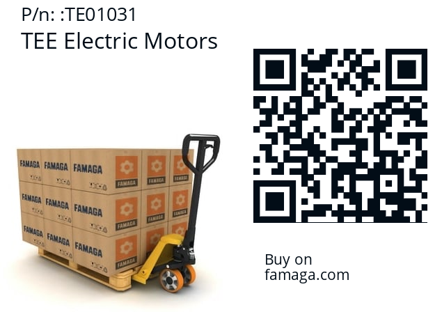   TEE Electric Motors TE01031